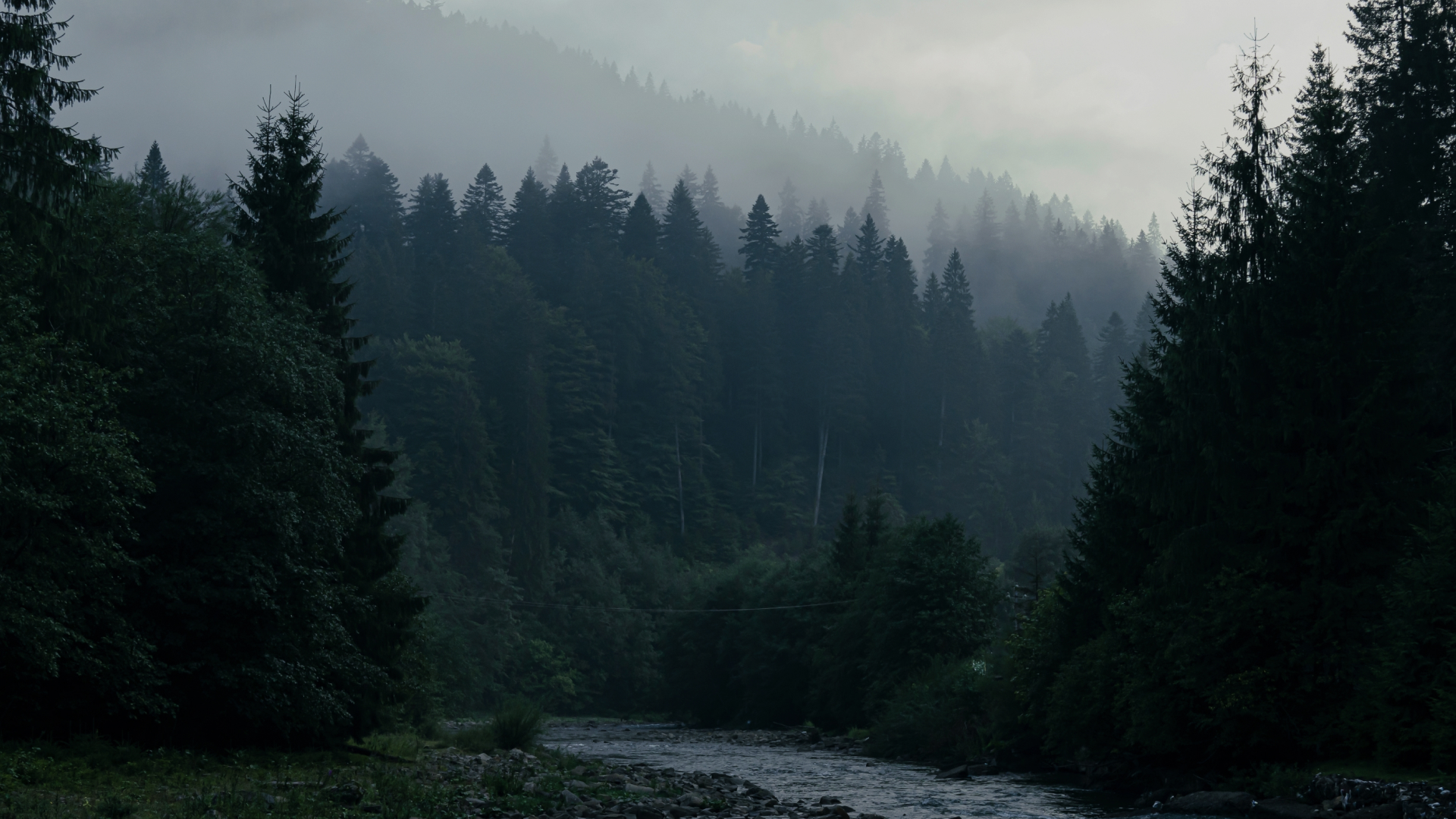 포레스트자산운용 메인 비주얼 - Grow with Forest Asset Management Generate World-Class Investment Returns with Forest Asset Management